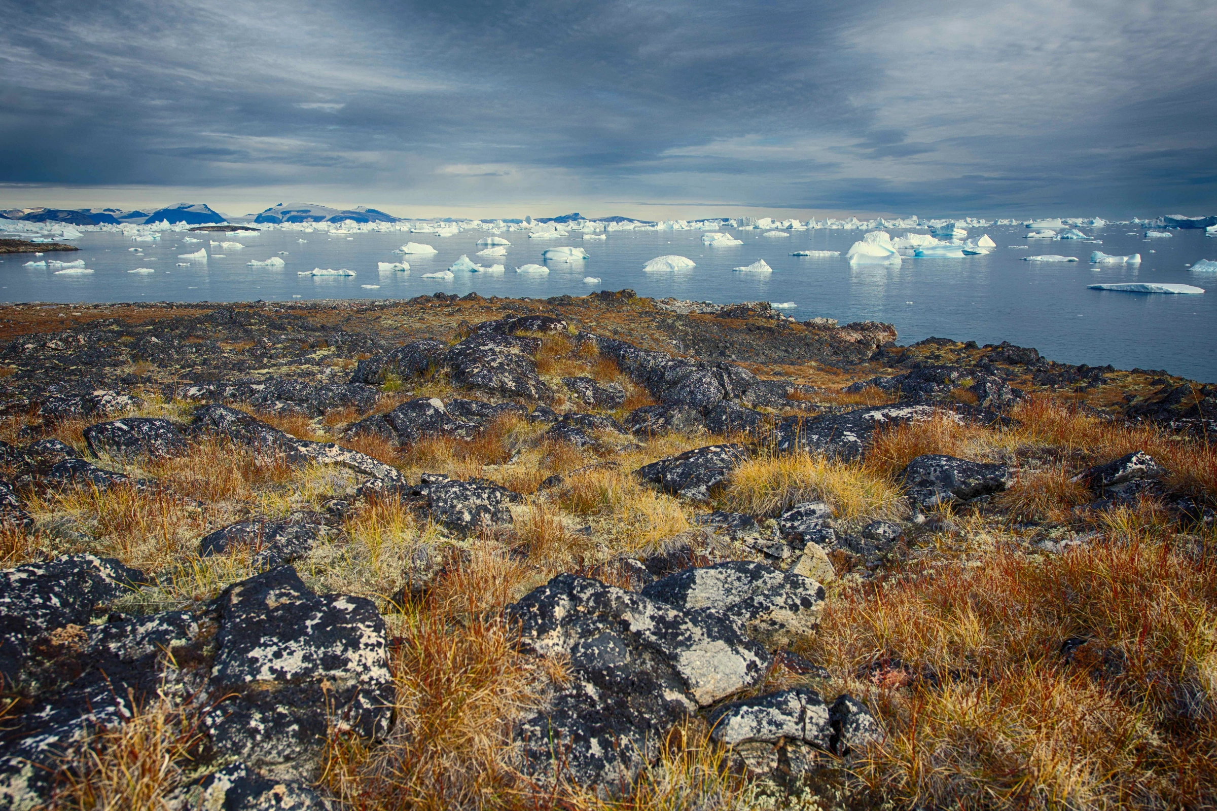 Savissivik[1].webp